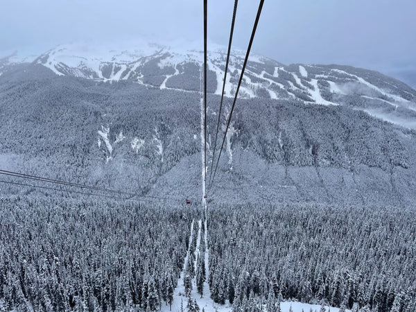 5 Things I Learned in Whistler, B.C