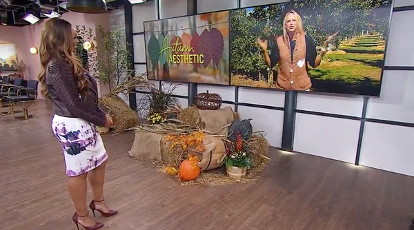 4 Fall Must Have Jackets for Your Orchard Visit 2021 with Cityline - Julia Grieve { article.tags }}